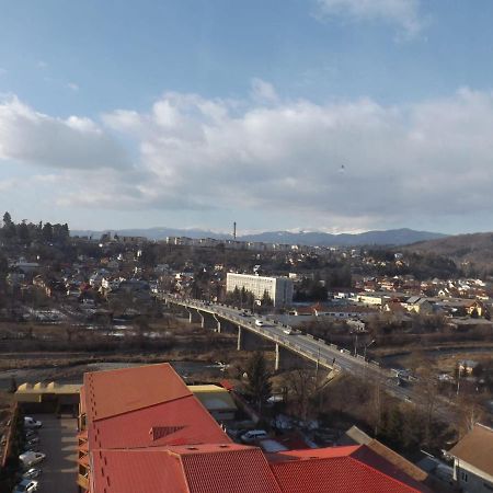 Apartament Mountain View Câmpulung Zewnętrze zdjęcie