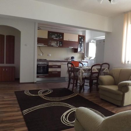 Apartament Mountain View Câmpulung Zewnętrze zdjęcie