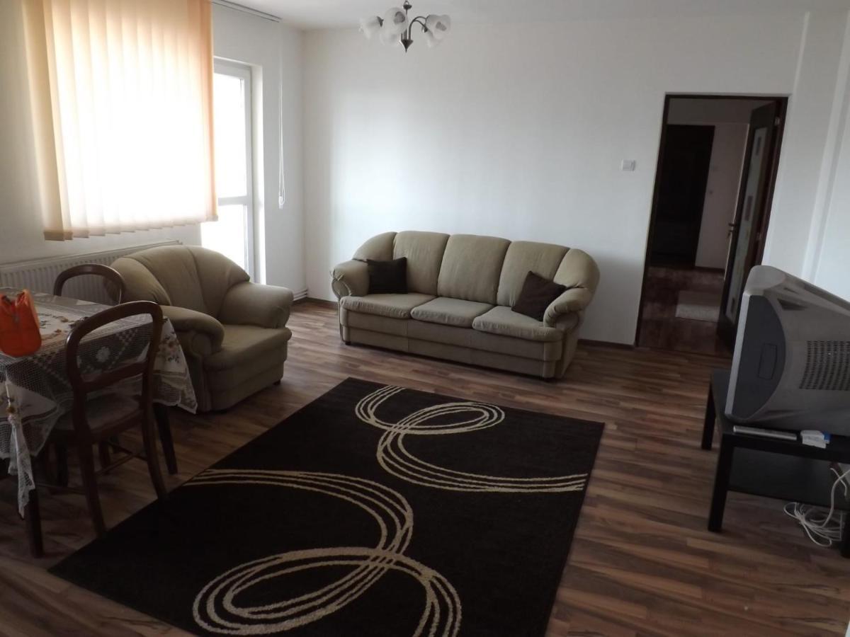 Apartament Mountain View Câmpulung Zewnętrze zdjęcie