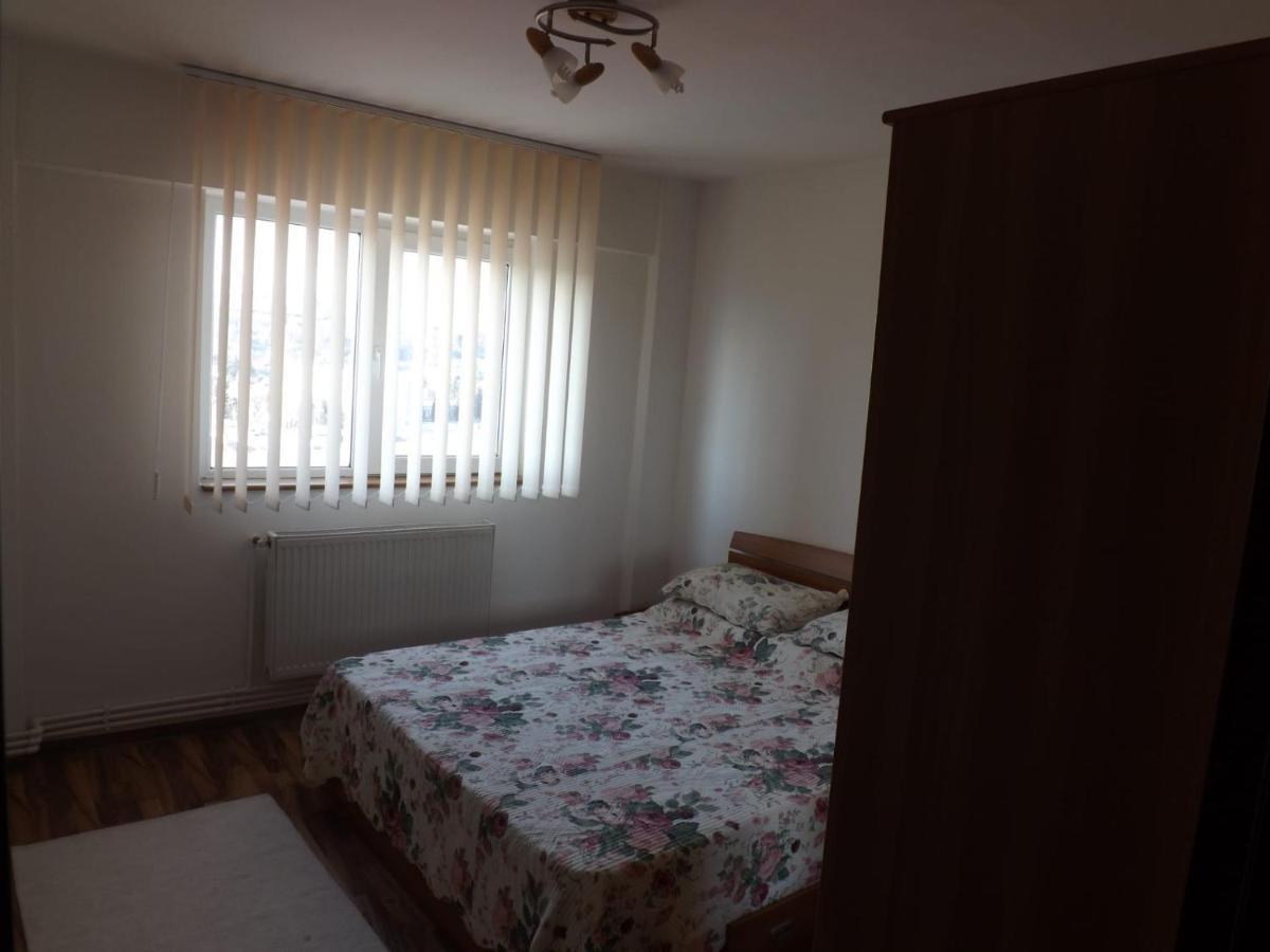 Apartament Mountain View Câmpulung Zewnętrze zdjęcie
