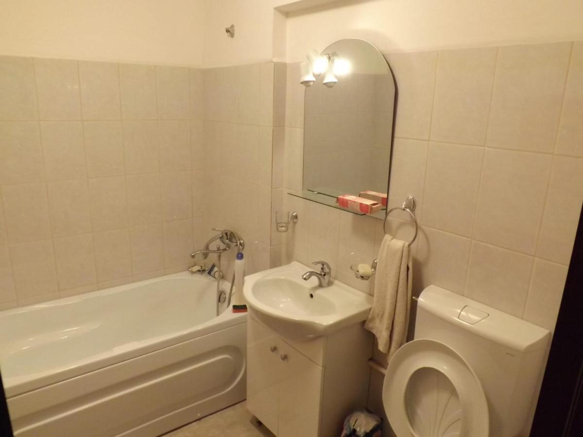 Apartament Mountain View Câmpulung Zewnętrze zdjęcie
