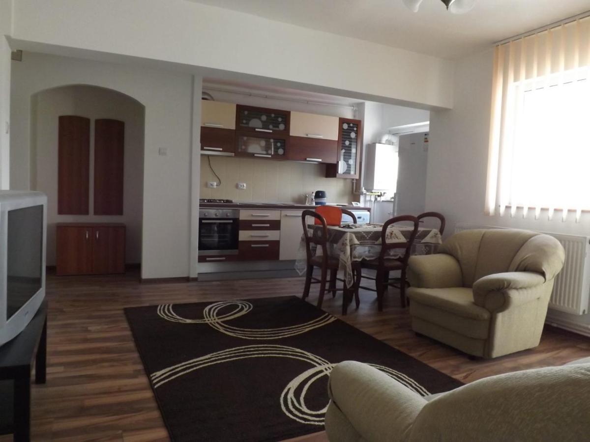 Apartament Mountain View Câmpulung Zewnętrze zdjęcie
