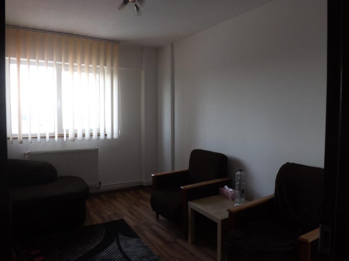 Apartament Mountain View Câmpulung Zewnętrze zdjęcie